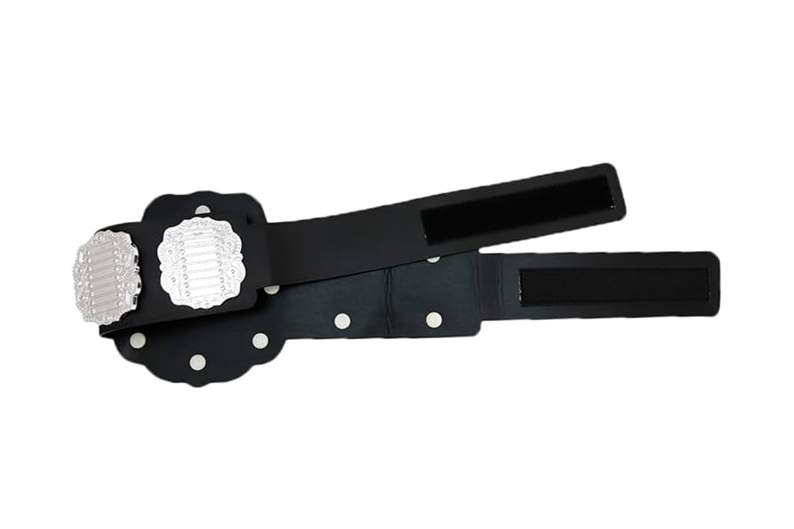 新日本プロレス IWGPヘビー級チャンピオンベルト プラスチックベルト IWGP世界ヘビー級プラスチックチャンピオンベルト